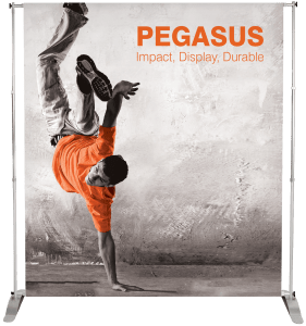 pegasus-2014_131104_hr